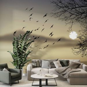 Applicazione Di Carta Da Parati Nelle Nebbie