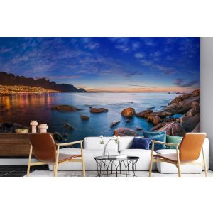 Applicazione Di Carta Da Parati Quando Le Acque Si Ritirano