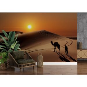 Applicazione Di Carta Da Parati Tutto Solo Nel Deserto