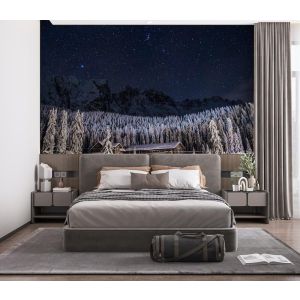 Carta Da Parati Alberi Nel Cielo