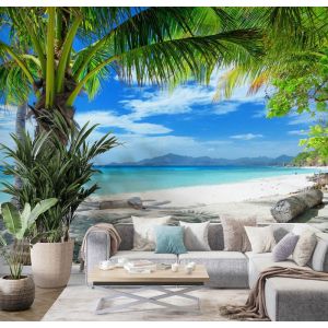 Applicazione Di Carta Da Parati Ombra Di Palma