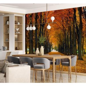 Applicazione Di Carta Da Parati Strada D'Autunno