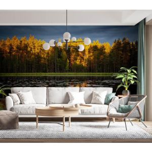 Applicazione Di Carta Da Parati Riflessione Della Foresta Sul Lago