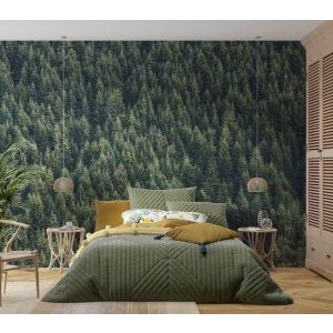 Applicazione Di Carta Da Parati Alberi Di Vetro Adiacenti