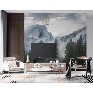 Applicazione Di Carta Da Parati Foresta E Paesaggio Innevato