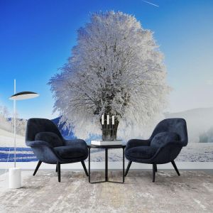 Applicazione Di Carta Da Parati Albero Invernale Speciale