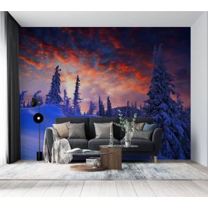 Applicazione Di Carta Da Parati Inverno E Natale