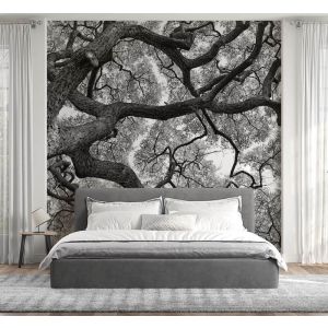 Applicazione Di Carta Da Parati Guardando Il Cielo Attraverso L'albero In Bianco E Nero
