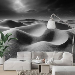 Applicazione Di Carta Da Parati Paesaggio Da Sogno Nel Deserto In Bianco Nero