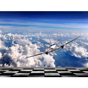 Carta Da Parati Selfie Aereo