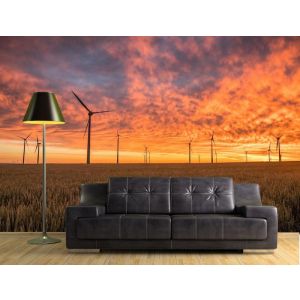 Rosa Dei Venti - Carta Da Parati Murale Applicato