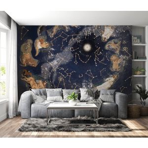 Applicazione Di Carta Da Parati Astrologia Segni Zodiacali