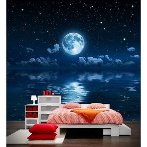 Contro İl Chiaro Di Luna - Carta Da Parati Per La Decorazione Applicato