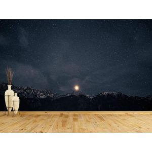 Carta Da Parati Divertimento Notturno