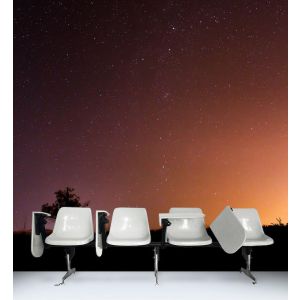 Albero Delle Stelle - Carta Da Parati Murale Applicato