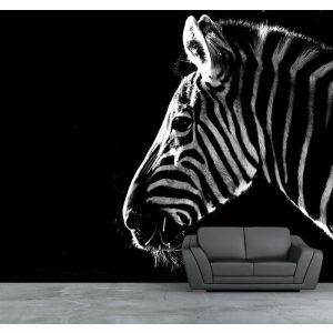 Carta Da Parati Zebra