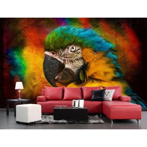 Pappagallo - Carta Da Parati Foto 3D Applicato