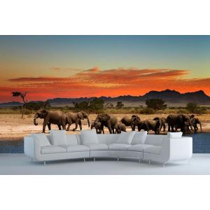 Elefanti In Pausa - Carta Da Parati Foto Applicato