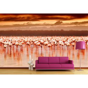 Gregge Di Pellicani - Carta Da Parati Per La Decorazione Applicato