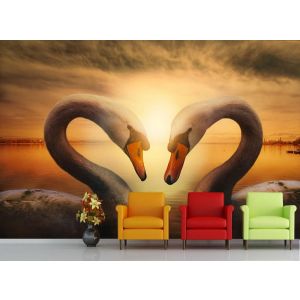 Amore Per Le Citazioni - Carta Da Parati Foto Applicato