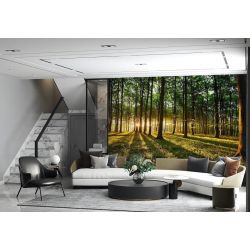 Carta Da Parati Foresta Radiosa