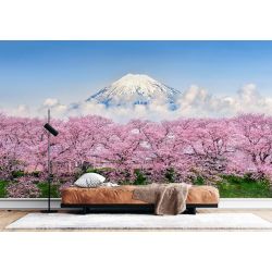 Carta Da Parati Monte Fuji con Fiori di Ciliegio