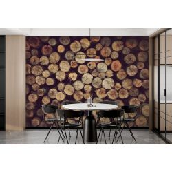 Carta Da Parati Effetto Legno Tronchi Tagliati Rustici 3D
